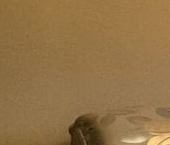 Сдать в аренду Квартиры вторичка Гранитная улица, 48   