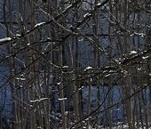 Продать Земельные участки, земля Всеволожск, 1-я линия   