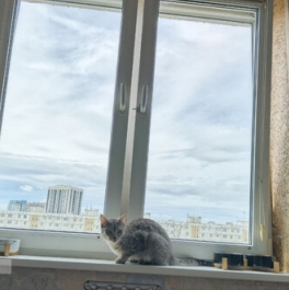 Продажа 2-комн квартиры на вторичном рынке улица Милашенкова,  д. 12В