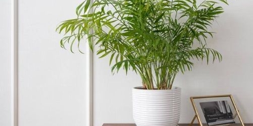 2-комн квартира Свободный проспект, 37/18