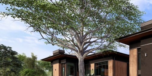 Коттедж/дом улица Кольцова, 28