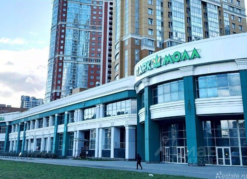 Аренда ПСН Просвещения пр-кт,  д. 43