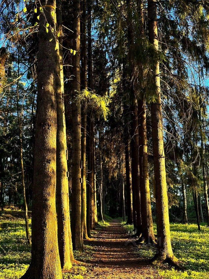 Продажа 1-комн квартиры на вторичном рынке пос. Песочный, Центральная улица, 87