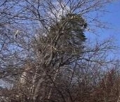 Продать Квартиры вторичка Королев, улица Сакко и Ванцетти, 26А   