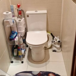 Продажа 3-комн квартиры на вторичном рынке Ольгино, Граничная улица