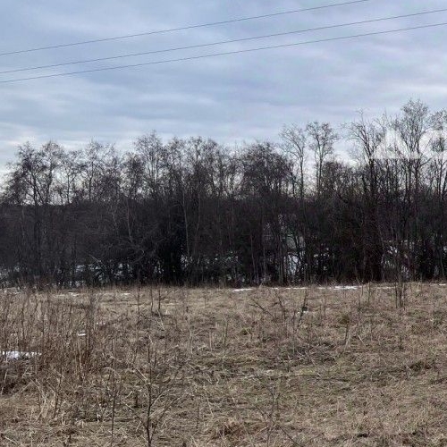 Коттедж/дом д. Велькота, 4А