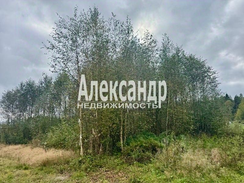 Продажа земли Поселок Большое Поле, проезд 1-й Береговой