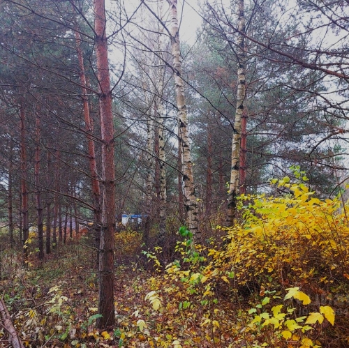 Земельный участок Фёдоровка, Садовая улица,  д. 3