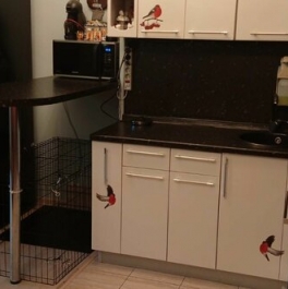 Продажа 1-комн квартиры на вторичном рынке Вырубово, улица Турова,  д. 12А