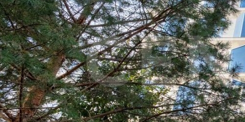 2-комн квартира Садовническая улица, 82