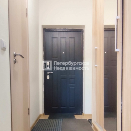 Студия деревня Новое Девяткино, деревня Новое Девяткино, ул Капральская, д 15