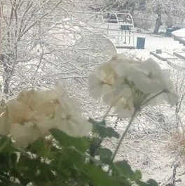 Продажа дома д. Заклинье, улица Старая