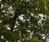 Продать Квартиры вторичка проспект Культуры, 26К1   