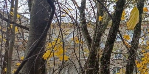 1-комн квартира Школьная улица, 6