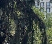 Продать Квартиры вторичка 1-я Магистральная улица, 25   