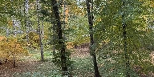 2-комн квартира проспект Тореза, 102К3