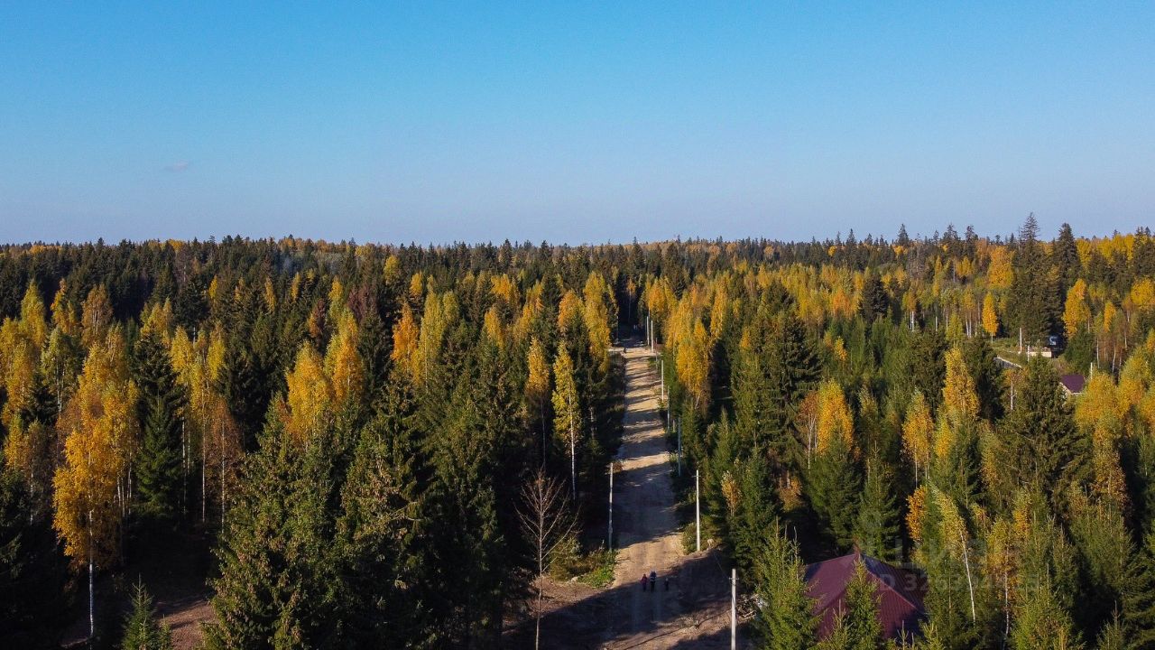 Продажа земли д. Черемыкино, улица Лесогорская