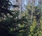 Продать Земельные участки, земля Надежда СНТ, 102   