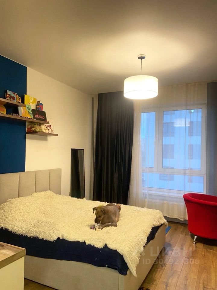 Аренда студии Олонецкая улица, 6