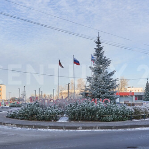 3-комн квартира Малое Карлино, Пушкинское шоссе