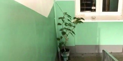 3-комн квартира улица Лазо, 10