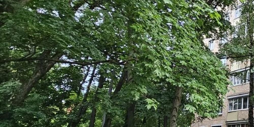 2-комн квартира 1-я Владимирская улица, 18К5