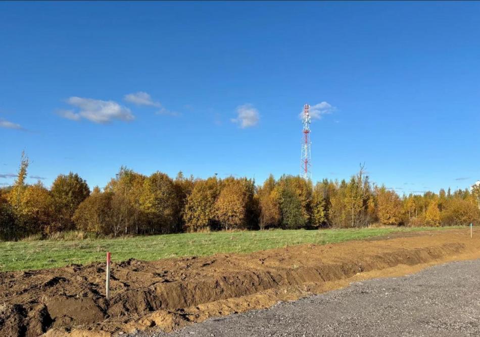 Продажа земли Всеволожский район, Массив Скотное территория