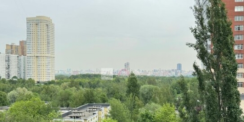 3-комн квартира Давыдковская улица,  д. 3