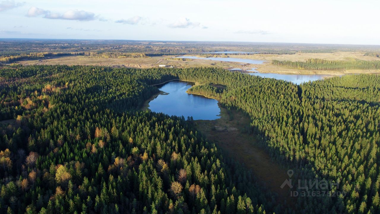 Продажа земли Линтулово кп, 255
