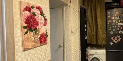 2-комн квартира улица Руднева, 27к2У