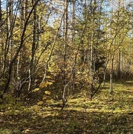 Продажа земли пос. Ганино, улица Озерная