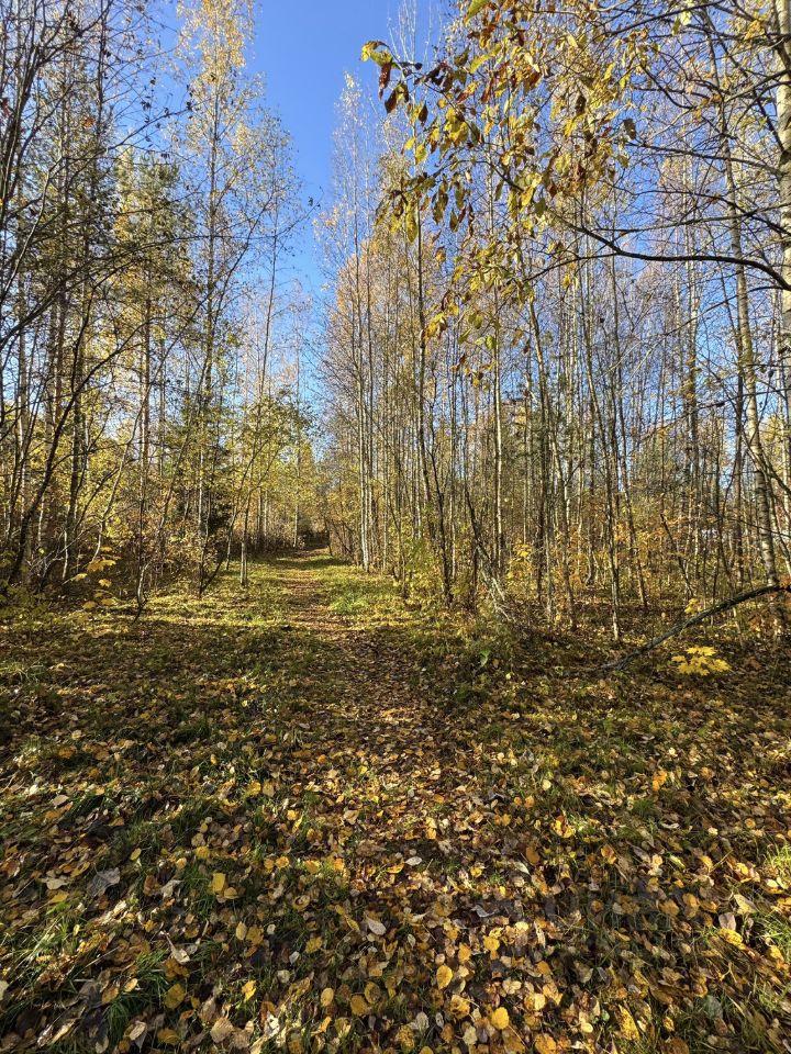 Продажа земли пос. Ганино, улица Озерная