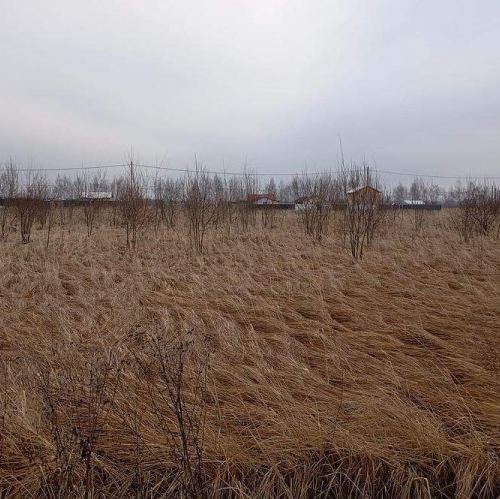 Земельный участок деревня Аргуново