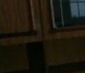 Сдать в аренду Квартиры вторичка улица Островитянова, 45К1   