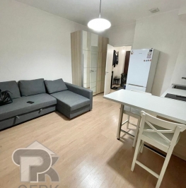 Продажа студии деревня Мисайлово, Пригородное шоссе, 3