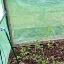 Продажа дома пос. Саперный, Центральная улица Продажа дома пос. Саперный, Центральная улица