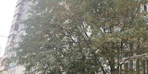 2-комн квартира Камышовая улица, 12К1