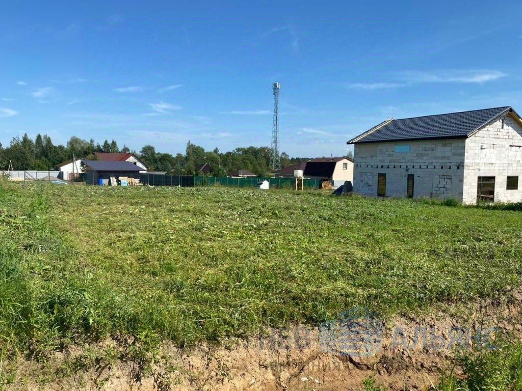 Продажа земли д. Большое Рейзино, 4
