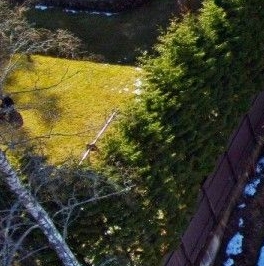 Продажа земли пос. Ганино, улица Хвойная