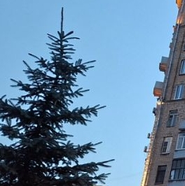 Продажа 3-комн квартиры на вторичном рынке Варшавское шоссе, 2 Продажа 3-комн квартиры на вторичном рынке Варшавское шоссе, 2