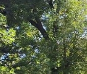 Продать Квартиры вторичка Флотская улица, 29К1   