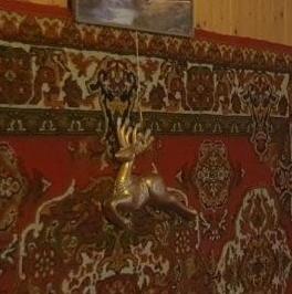 Продажа дома Светлая Гора СНТ, 74