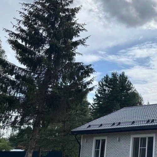 Коттедж/дом Вырица городской поселок, улица Фрунзе