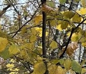 Продать Квартиры вторичка улица Стойкости, 12   