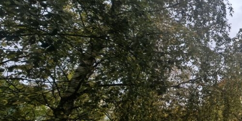 2-комн квартира улица Савушкина, 145