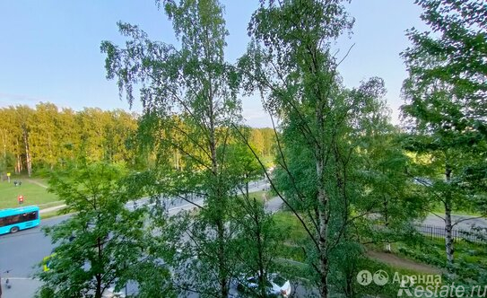 Аренда 1-комн квартиры на вторичном рынке ул Фаворского,  д. 18