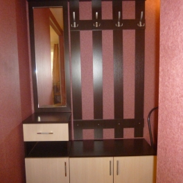 Аренда 1-комн квартиры на вторичном рынке Раменское г., Космонавтов ул., 2 Аренда 1-комн квартиры на вторичном рынке Раменское г., Космонавтов ул., 2