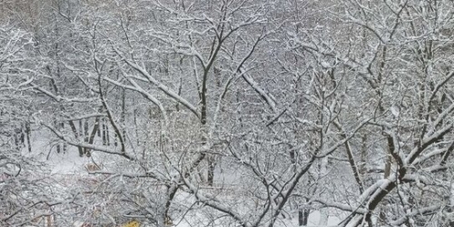 1-комн квартира ул Голубинская,  д. 7,  к. 5