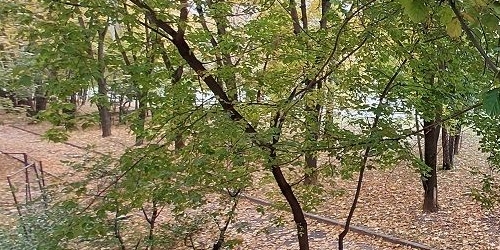 3-комн квартира Беловежская улица, 21