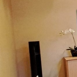 Аренда 2-комн квартиры на вторичном рынке Кондратьевский проспект, 62К3